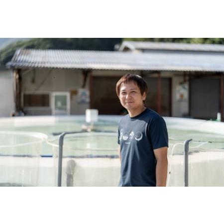 ふるさと納税 打ち抜き海水で育てた「すじ青のり」　粉末　３ｇ×１２パック 愛媛県西予市