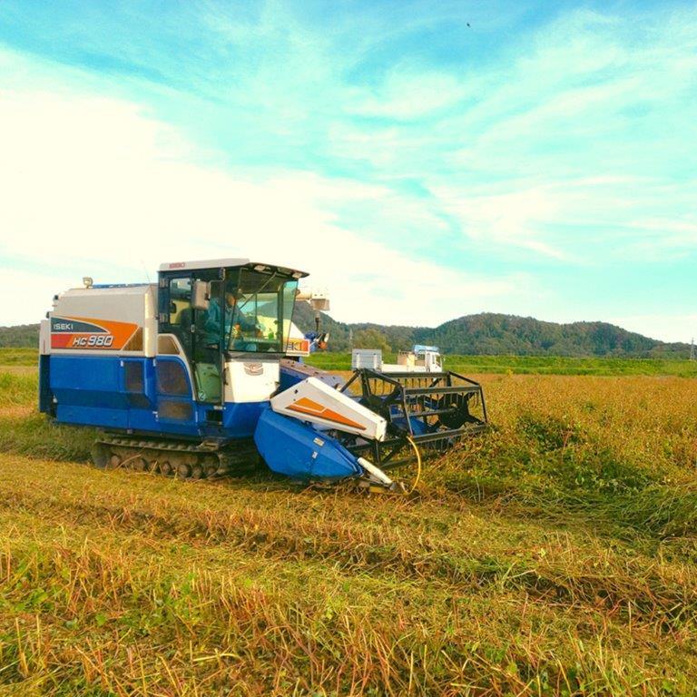 直営農場産越前そば８食　TN-８    ギフト プレゼント ご褒美 贈り物 贈答品送料無料