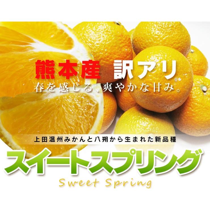 スイートスプリング 熊本産 訳あり １０kg  送料無料   九州 熊本 みかん オレンジ 甘い スイート スプリング