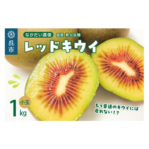 ふるさと納税 広島県 呉市 希少品種「 レッドキウイ 」国産 約1kg