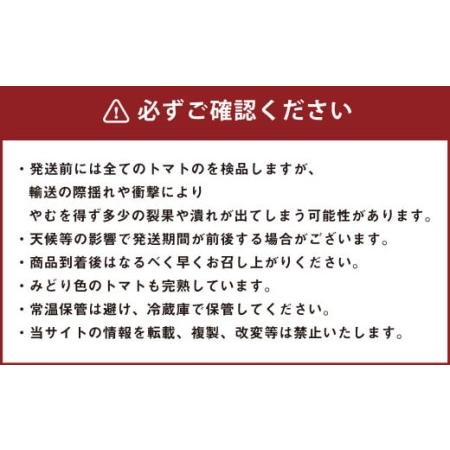 ふるさと納税 カラフルミニトマト 約1kg トマト 高森町産 熊本県高森町