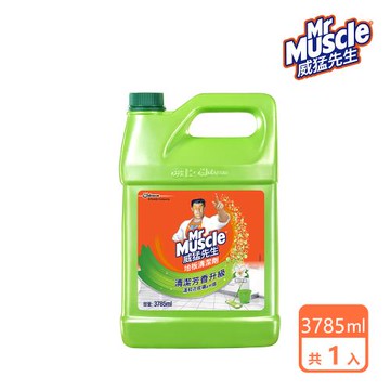 威猛先生 地板清潔劑加侖桶-清新早晨3785ml