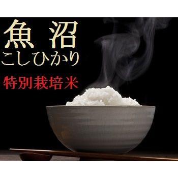 魚沼産コシヒカリ 「特別栽培米」白米５ｋ