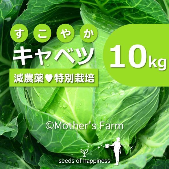 キャベツ 農薬90％カット 特別栽培