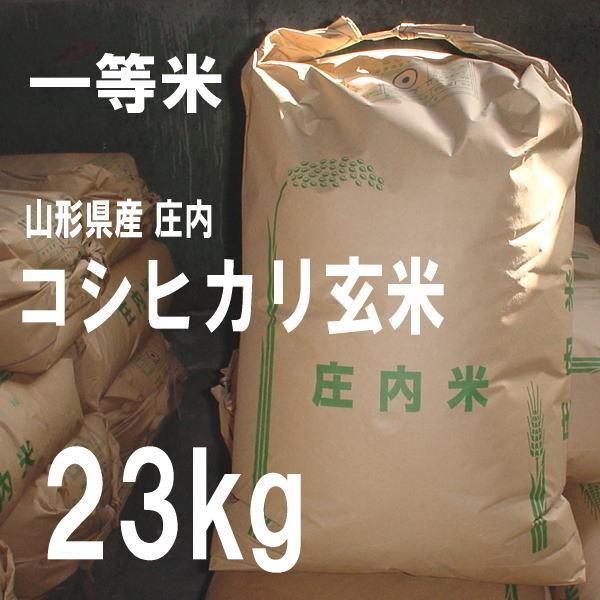 お米 23kg コシヒカリ 玄米 山形県 庄内 23kg×1袋 5年度産 新米 一等米