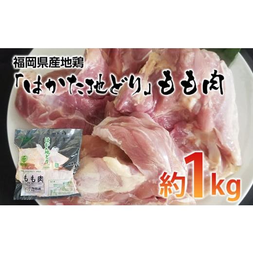 ふるさと納税 福岡県 田川市 福岡県産地鶏「はかた地どり」もも肉(約1kg)