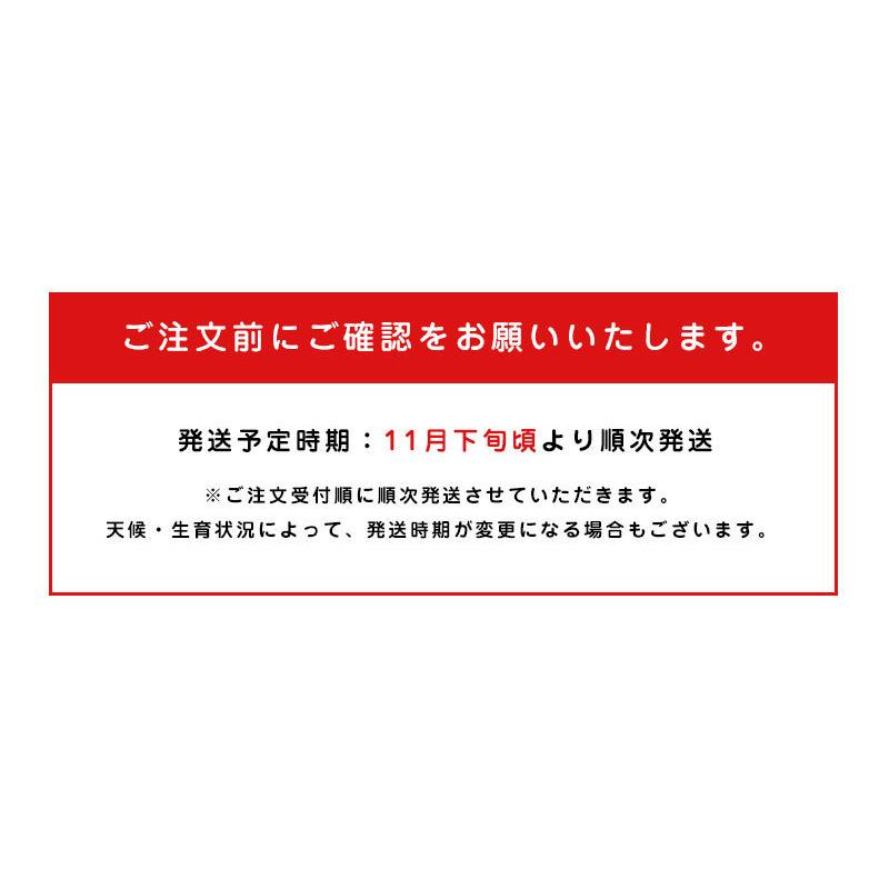 送料無料 和歌山県産下津 硲 みかん S-Mサイズ 約2.5kg 和歌山 みかん 2.5kg お歳暮 フルーツ ギフト