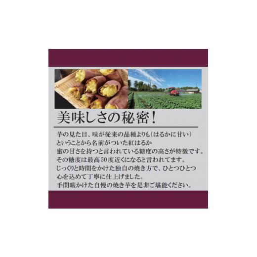 ふるさと納税 茨城県 鉾田市 熟成冷凍焼き芋（紅はるか）