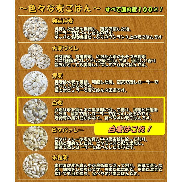 国産 白麦 業務用 5kg 8袋セット  健康 腸活 免疫 ダイエット 押し麦 食物繊維 米と炊飯 スープ）麦飯 麦ご飯 麦 大麦ご飯 白麦5kg 家康 お得 セット