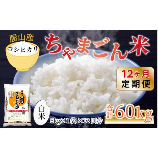 ふるさと納税 福井県 勝山市 『定期便』 令和5年産 新米 勝山のお米コシヒカリ5kg 全12回 [J-010020]