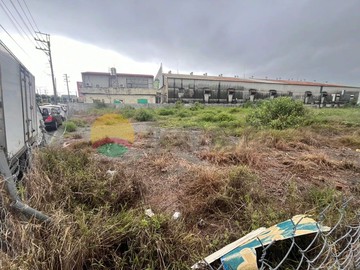 萬丹近88及屏科稀有三角窗丁種方正建地｜屏東縣萬丹鄉社安段