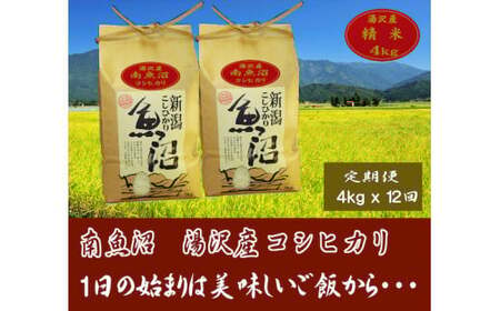 令和5年産 湯沢産コシヒカリ＜精米＞（白米）4kg（2kg×2袋）精米したてのお米をお届け