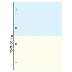 ヒサゴ 〔各種プリンタ〕FSC（R）認証 マルチプリンタ帳票 カラー 4穴 0.08mm [A4  2400枚  2面] FSC2011W