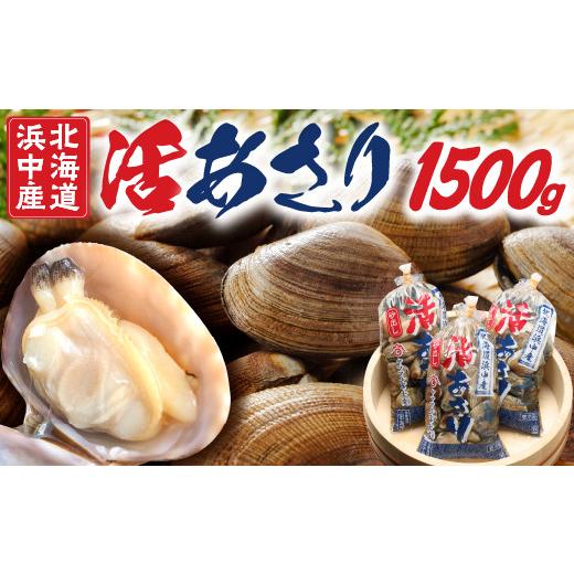 ふるさと納税 北海道 浜中町 浜中産　活アサリ500g×3袋セット_230106