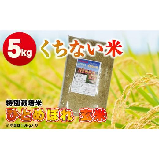 ふるさと納税 岩手県 北上市 令和5年産  くちない米（特別栽培米ひとめぼれ 玄米）5kg