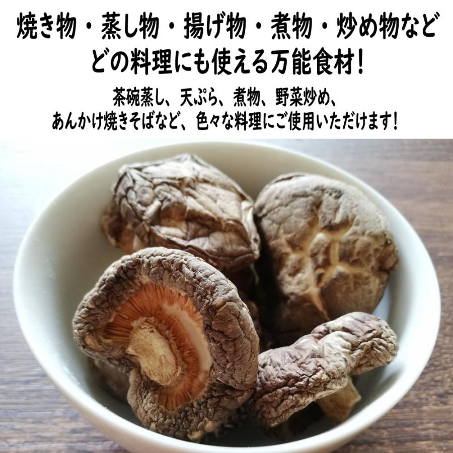 椎茸 どんこ 業務用 500g 大容量 乾しいたけ きのこ 煮物 天ぷら 宅配便送料無料