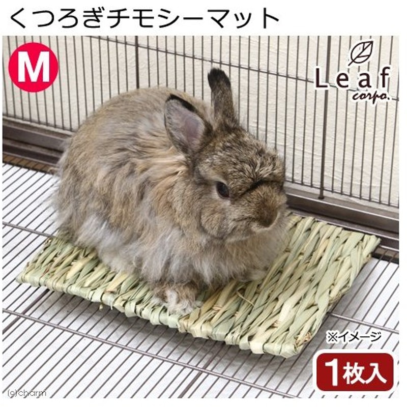 くつろぎチモシーマット ｍ かじっても安全 うさぎ チンチラ モルモット 通販 Lineポイント最大0 5 Get Lineショッピング