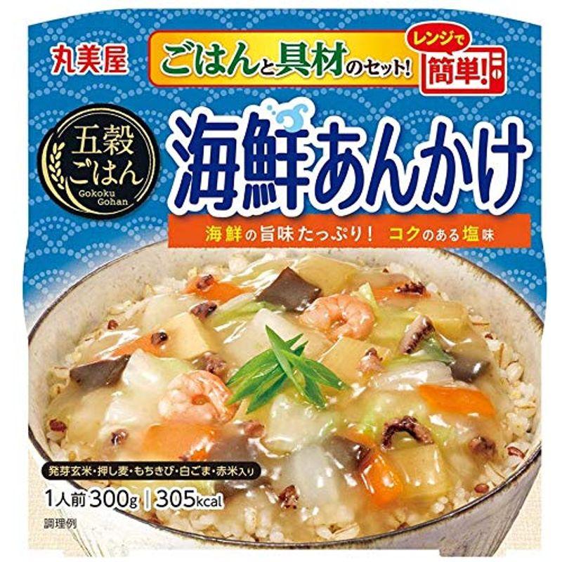 丸美屋 どんぶり ごはん付き 10種類 アソート セット 親子丼 麻婆丼 中華丼 ビビンバ とり丼 海鮮あんかけ トマトリゾット 釜めし