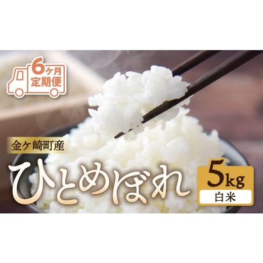 ふるさと納税 岩手県 金ケ崎町  毎月 5kg お届け 精米 金ケ崎町産 お米 自宅 炊飯 お弁当 袋 岩手県 金ケ崎町 いわて 米 コメ …