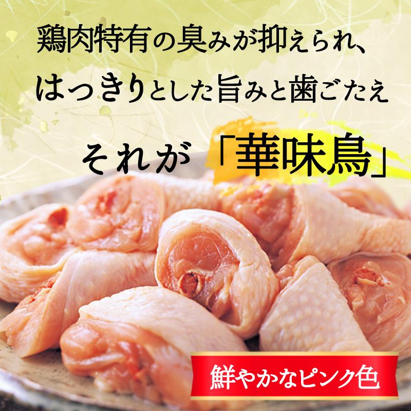 お歳暮 鍋 ギフト 博多華味鳥 水たき 鍋セット 水たきスープ 4~6人前 鶏肉入り つくね 博多ぽん酢 ちゃんぽん麺 のし対応