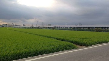 新園永吉路｜潛力首選都內農地・輕鬆打造農舍生活｜屏東縣新園鄉仙吉段