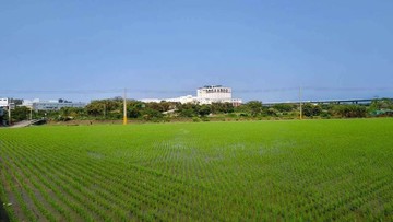 苗栗後龍鄰近市區都計內具增值潛力一般農地｜苗栗縣後龍鎮龍東段