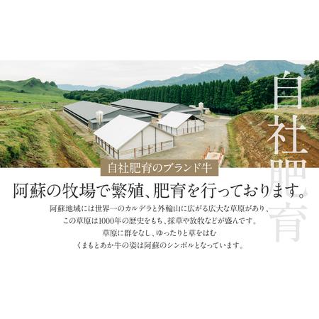 ふるさと納税 あか牛リブローススライスセット (あか牛リブローススライス400g、あか牛のたれ200ml) 熊本県八代市