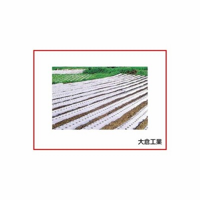 オークラ 大倉 シルバーマルチ シルバーss 0 03mm 95cm 0m 2本入 通販 Lineポイント最大get Lineショッピング