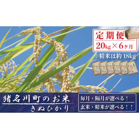 ふるさと納税 猪名川町産のお米（キヌヒカリ）　精米　毎月発送／こめ コメ キヌヒカリ 兵庫県猪名川町