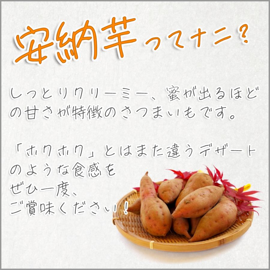 安納芋 箱込5kg S〜Lサイズ 安納紅 鹿児島県種子島産 送料無料 蜜芋 生芋 安納いも さつまいも