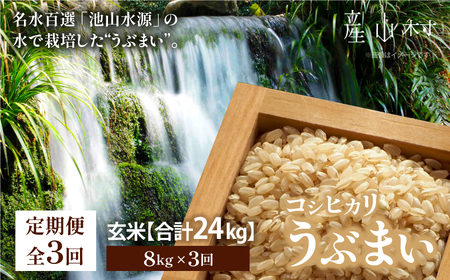 うぶまい(コシヒカリ　玄米)8kg〈阿蘇の名水　池山水源米〉