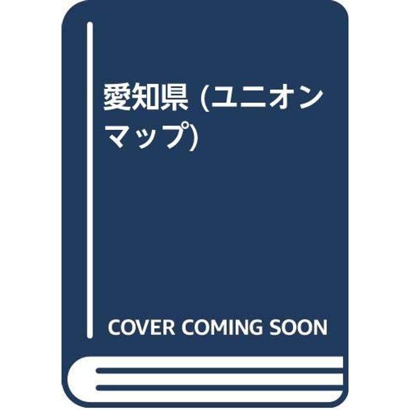 愛知県 (ユニオンマップ)