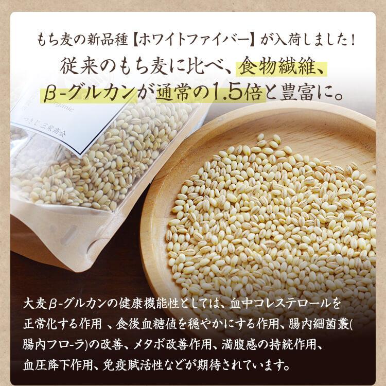 もち麦 「1kg」ホワイトファイバー 熊本県産 農薬化学肥料不使用 自然栽培 食物繊維 βグルカン 腸の働きを良くする