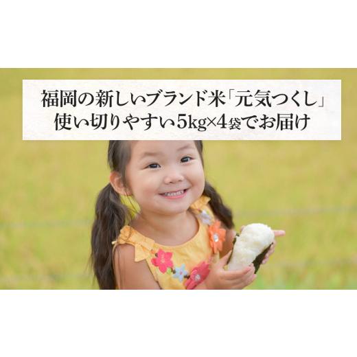 ふるさと納税 福岡県 田川市 新米 令和5年産　福岡県産ブランド米「元気つくし」白米20kg