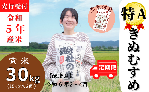 (赤米付き）特Aきぬむすめ30kg定期便（15㎏×2回）岡山県総社市産〔令和6年2月・4月配送〕 23-030-014