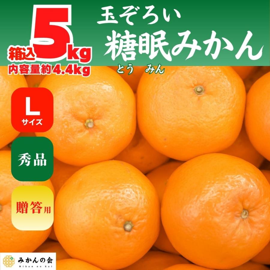 熟成 みかん 秀品 箱込 5kg 内容量 4.4kg Lサイズ 玉ぞろい 有田みかん 和歌山県産 産地直送 贈答用  