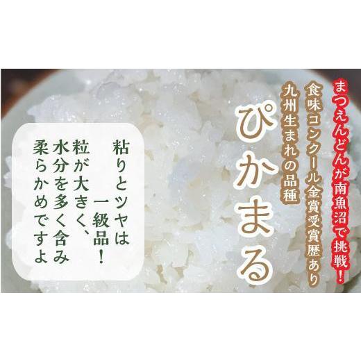 ふるさと納税 新潟県 南魚沼市 新米精米5kg 南魚沼産ぴかまる・国際総合部門金賞受賞_AG