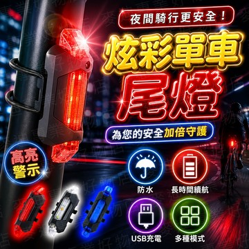 台灣出貨🔥腳踏車尾燈 USB充電尾燈 車尾燈 警示燈 夜行燈 騎行燈 安全燈 充電尾燈 自行車尾燈 自行車充電尾燈