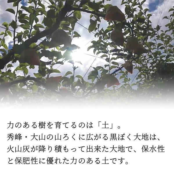 広岡農場の王秋梨（おうしゅうなし）5kg詰（6〜10玉入） 鳥取県産 なし 訳あり（ご自宅用） 送料無料（北海道・沖縄を除く）