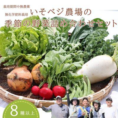 ふるさと納税 佐久穂町 季節の野菜詰め合わせセット〔IV-01〕