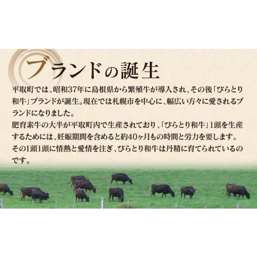 ふるさと納税 北海道 平取町 ”上質な霜降り”と”味わい深いジューシーな”和牛サーロインステーキ200g×2枚
