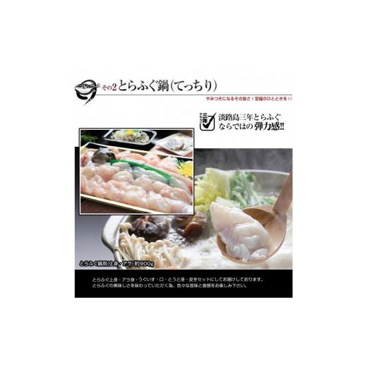 ふるさと納税 兵庫県 南あわじ市 3年とらふぐ特選フルコースセット 豪華10点盛り(5〜6人前)