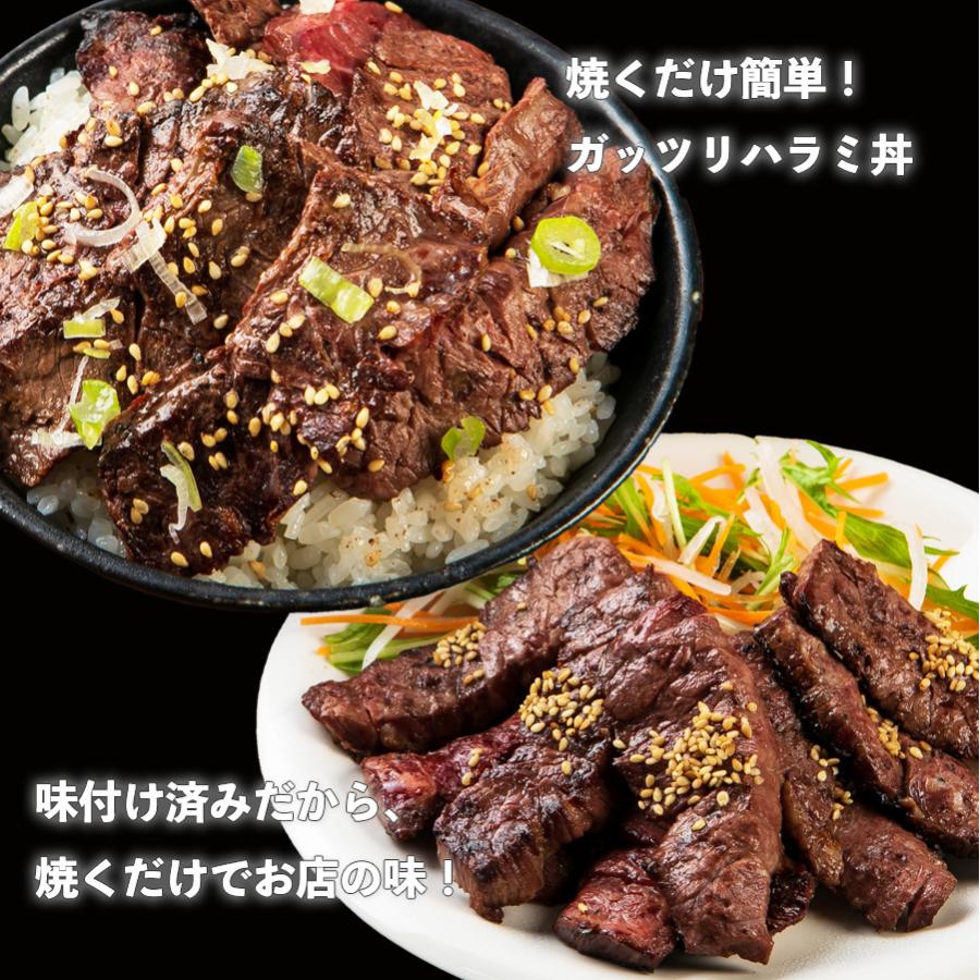 ハラミ 500g 牛肉 牛 ビーフ 焼肉 US産