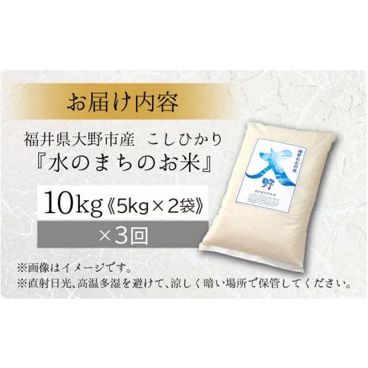 ふるさと納税 福井県 大野市 こしひかり 10kg×3回 計30kg「エコファーマー米」水のまちのお米