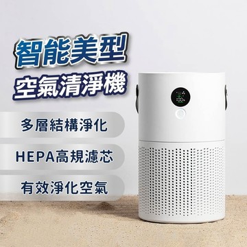 【台灣現貨】2023負離子清淨機 負離子淨化器 液晶顯示空氣品質 電池充電款 除甲醛煙霧 過濾 淨化器