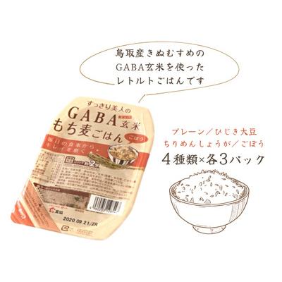 ふるさと納税 GABA玄米もち麦パックごはん 4種類×各3 計12パック 鳥取産きぬむすめ JAアスパル 0589 鳥取県江府町