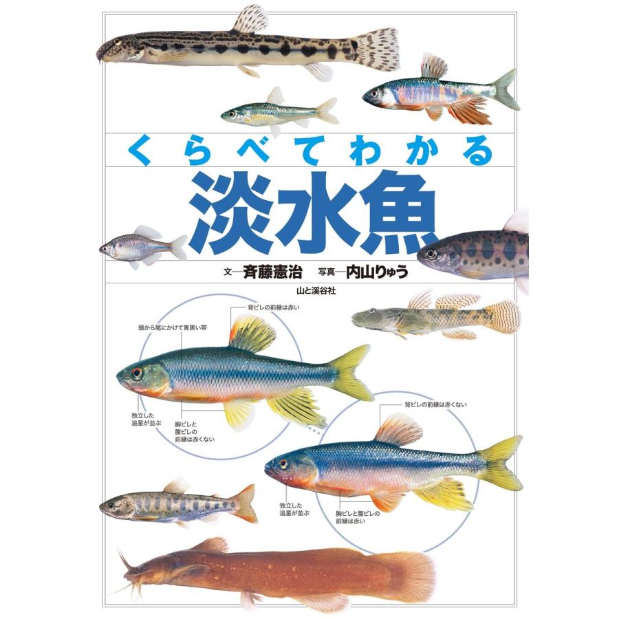 くらべてわかる 淡水魚