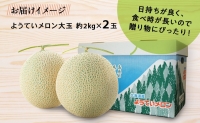 北海道 赤肉メロン 大玉 約2kg 2玉 メロン 赤肉 果物 フルーツ 甘い 完熟 スイーツ デザート 産直 国産 贈答品 お祝いギフト羊蹄山 JAようてい 送料無料 北海道 倶知安町