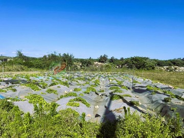 壯圍濱海公路大路邊農地｜宜蘭縣壯圍鄉壯濱路三段