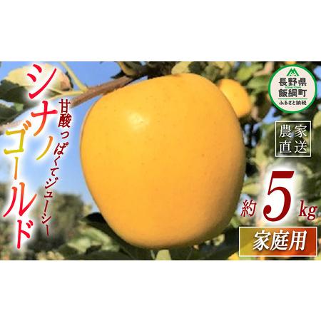 ふるさと納税 りんご シナノゴールド 家庭用 5kg ファームトヤ 沖縄県への配送不可 2023年11月中旬頃から2023年12月下旬頃まで順次発送予定 令和.. 長野県飯綱町